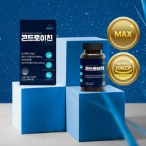 코스트코 콘드로이친 글루코사민정 철갑상어콘드로이친 관절 팔팔 통쾌 조인트가드 1000mg