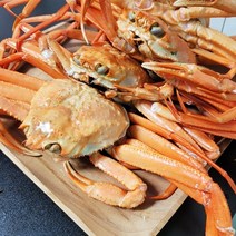 청정 동해 구룡포 육수용 연지홍게 2kg 6-7미 내외, 단품