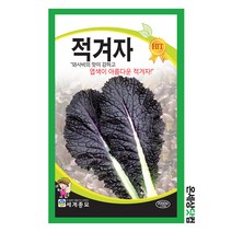 적겨자 2000립 / 상추씨앗 쌈채소씨앗 겨자씨앗 겨자씨 적겨자씨앗