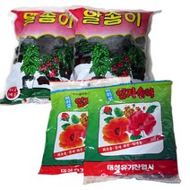 입자송이(2개) 알송이(2개) 유박 모음 230198EA, 입자송이(200g) 2개