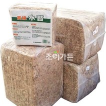 [수태] 토피어리 난재배 분갈이 (칠레산) 75g, 1세트