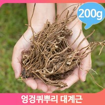 엉겅퀴 건조 뿌리 200g 국산 대계근 천연 입욕제 염료