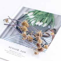 인조잔디 시공 테라스인조잔디 인조잔디매트양초 DIY 재료 계피 롤 말린 꽃 향기 홈 장식 웨딩 솔방울 고, 12 5 Lover Fruits