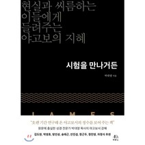 시험을 만나거든:현실과 씨름하는 이들에게 들려주는 야고보의 지혜, 두란노서원, 9788953138582, 박대영 저