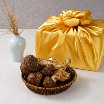 자연산 송이버섯 생송이버섯 선물세트 설 추석 명절 선물용, 1박스, 특품 1kg+보자기포장