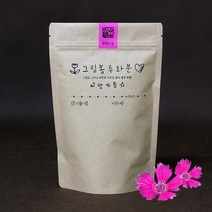 그림봉투화분 패랭이꽃, 없음