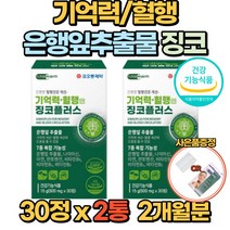 뇌 영양제 징코 기억력 혈행 은행잎추출물 30정 150mg 두뇌 건강 비타민 B1 B2 B6 아연 부모님 수험생 건강기능식품, 2통(2개월)
