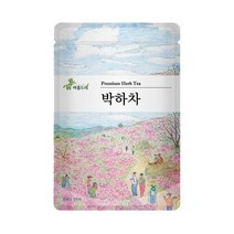 아름드레 삼각티백 박하차, 1.1g, 25개입