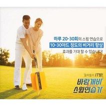 드라이버스윙궤도 골프연습기 실내연습장채비거리스틱 홈골프 바람개비 연습봉 도구 스윙기 연습채 아이언, 바람개비 골프스윙연습기
