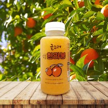 제주 한라봉 귤뜨레 착즙주스 100% 과일원액 240ml 14개입