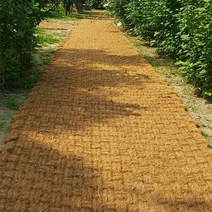 야자수매트 야자 오름 매트 주차장 산책로