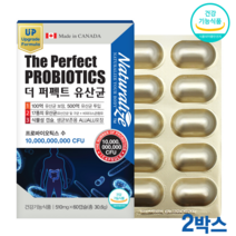 신바이오틱스 락토바실러스 비피더스균 듀폰 다니스코 500억 유산균 소화효소 프롤린 식물성캡슐, 2박스*캡슐형*60캡슐