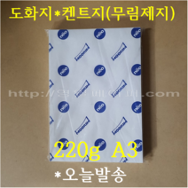 [ 학교납품전문 ] 켄트지 220g A3 100매 / 전문가용 무림도화지