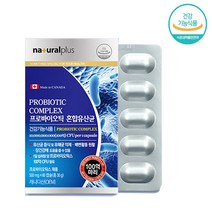 락토바실러스 플란타럼 플란타룸 장용성 생 유산균 유익균 100억 CFU