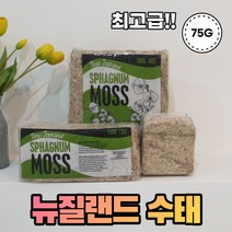 농사친구 뉴질랜드 수태 AA + EM아이스팩 수태봉 만들기 수태망 건조 몬스테라 풍란, 01. 75G + EM팩