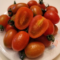 유니네 스테비아 대추방울 토마토, 1.5kg