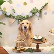 [그냥점례] 너를 그린 강아지 생일케이크/생일파티, 04_강아지 얼굴 케이크(중) 닭고기