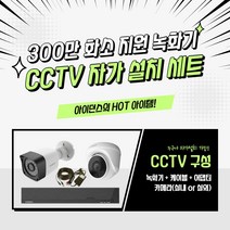 아이던스 300만화소 CCTV 세트 자가설치 실내 방범용 가정용 감시카메라, 300만화소 실외1세트 (20M케이블+어댑터)