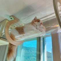 하늘 투명 터널 60cm - 원목 고양이 캣 타워 워커 폴 선반 구름다리 놀이터