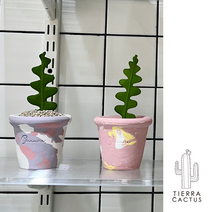 꼬불꼬불 생선뼈 선인장 피쉬본 - 핸드메이드 토분S 2color, 화이트+퍼플핑크 링토분S(받침없음)