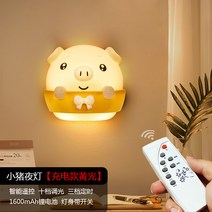 전기세레나이트 리모컨 침실침대 야광콘센트 에너지절약 아기 수유 스탠드 잠자기 무드등-16205, 단일옵션, 옵션09