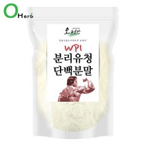 오허브 분리유청단백질 99% 분말 WPI, 500g, 1팩