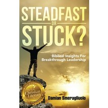 (영문도서) Steadfast Or Stuck?: Biblical Insights For Breakthrough Leadership Paperback, Hcp Book Publishing, English, 9781958404683