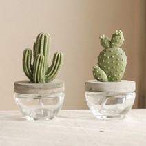 아로마코 선인장 석고 디퓨저 100ml 3가지 향, 시트러스 버베나