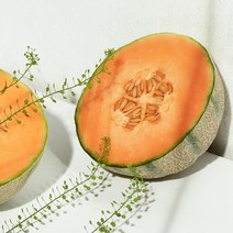 멜론향 (메론향) 프래그런스오일, 100ml