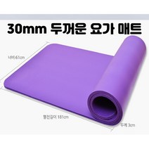 라움힐러 3cm 동종 최강 두꺼운 요가매트 홈트매트 운동기구매트 층간소음방지 운동매트, 퍼플 = 보라색