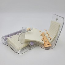 에브리데이쇼핑3공 다이어리 퍼플 미니다이어리 3공다이어리 노트 다이어리 만년다이어리+dpqmflepdl, 상품대박
