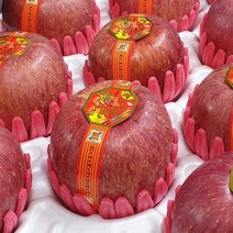 경북 안동 명품 사과 선물세트 5kg 3kg 부사 홍로 꿀 햇 명품 프리미엄 흠과 흠사과, 01.부사, 01.선물세트 5kg, 13과 내외 (대과)
