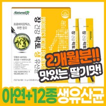 온가족 락토바실루스 생 유산균 약 2개월분 패밀리유산균 맛있는유산균 프리바이오스틱 장까지살아가는유산균 무첨가 5세대 토종 유산균분양 노인 대장 비만균 구강, 락토 생 유산균 30포(2개월분)