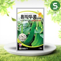 흰작두콩 10립/ 작두콩 씨앗 종자 주말농장 베란다텃밭