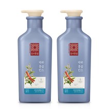 동의홍삼 박하홍삼 린스 500ml(두피비듬케어), 2개, 500ml