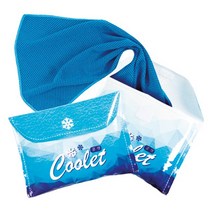 쿨렛 얼음지갑 휴대용 아이스팩, 1개