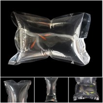 물고기 금붕어 키우기 포장지 밀봉 밀폐 봉지 10장, 3피쉬비닐20X30cm10p