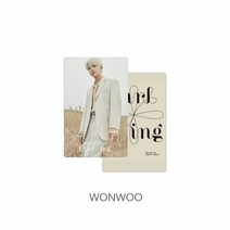 seventeen세븐틴 달링 굿즈 동일 스몰 카드, wonwoo