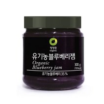 청정원 블루베리잼 300g 유기농 X2, 단품