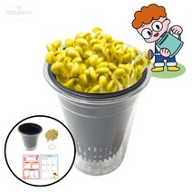 milovhi 관찰기록지 포함 콩나물 기르기 세트 어린이집 콩나물 키우기 키트 관찰일지, 콩나물키우기세트, 5세트