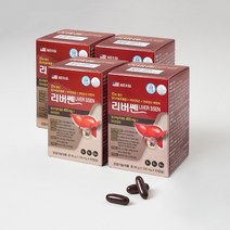 지오랩 리버쎈 8개월분 밀크씨슬 간영양제, 4박스