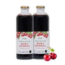 자연정 터키메이드 NFC 100% 몽모랑시 타트체리주스 1000ml 2병, 단품, 단품