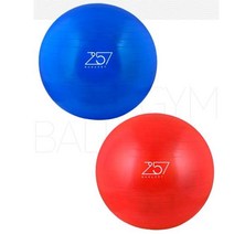 홈트 짐볼 65cm [밸런스볼 균형 허리 코어 운동 다이어트 헬스 임산부 필라테스 스트레칭], 쿠팡 임의색상