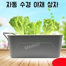 수경재배기 베란다 야채 채소 텃밭 가꾸기 식물 키우기 재배기, 표준 수경재배기