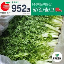 <해돋이농산> 국내산 치커리 쌈야채 2kg내외, 1박스, 2kg 내외” class=”wr-img”></a></div></div></div></div><div class=
