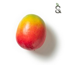 [과일엔] 항공직송 페루산 켄트 애플망고 4-6과 (총 1.6kg 내외), 페루산 켄트 애플망고 4-6과 ( 1.6kg 내외)