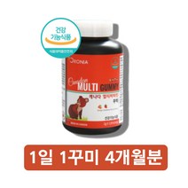 곰돌이비타민 유아 어린이 6세 키즈 밥 잘 안먹는 아이 6살 초등학생 성장기 종합 멀티 비타민 미네랄 아연 젤리 꾸미 구미 영양제, 멀티비타민120꾸미 x1통