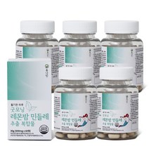 휴나인 레몬밤 민들레 추출 복합물 60 정, 60정, 5개