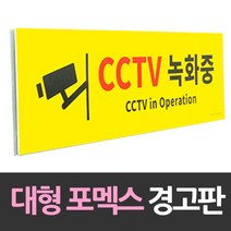 현판 팻말 문패 미니간판 표찰 대형 포맥스 안내판 CCTV녹화중 DJ+3723EA