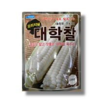 대학찰옥수수씨앗 대학찰 찰옥수수 연농1호 옥수수 2000립 /22년포장 대포장